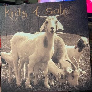 NEW “Kids 4 Sale” Canvas Goat Art Print 10x10